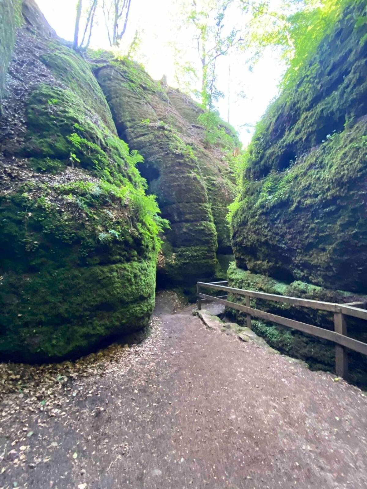Discovair Eisenach -Karlstrasse- Fussgaengerzone Mit Netflixアパートメント エクステリア 写真
